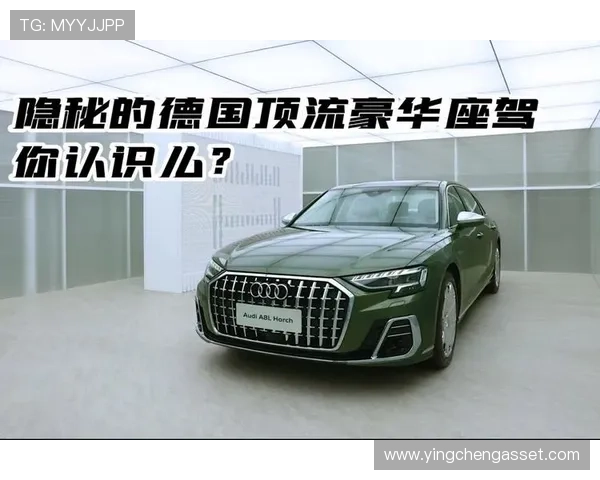 全球足球明星的豪华座驾揭秘与评析，探索他们的个性化选择与驾驶体验
