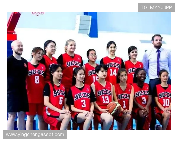 北京排球队在全国排球团队协作排名中创下历史新高展现团队精神与实力