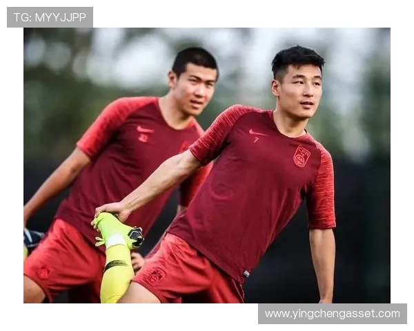 北京排球队灵活性引发热议球迷与专家各执己见探讨战术调整