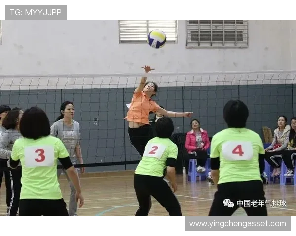 北京排球队的耐力挑战与训练探索聚焦排球运动的未来发展