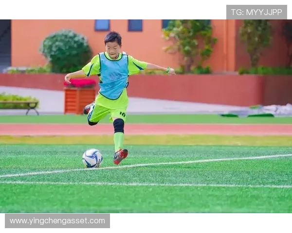 临澧足球明星盘点及其在足球界的影响力分析